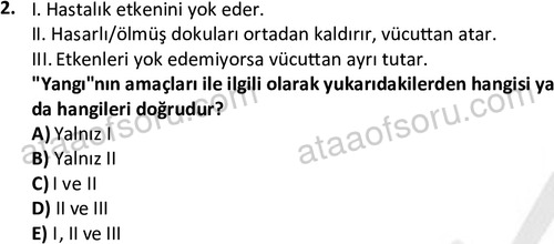 ata laborantvet 1963 2