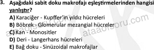 ata laborantvet 1963 3