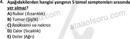 ata laborantvet 1963 4