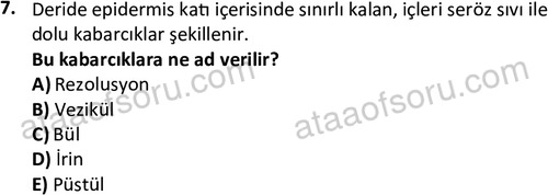 ata laborantvet 1963 7