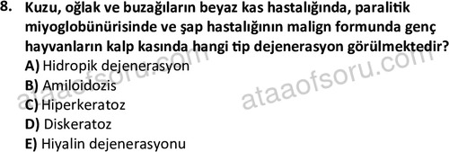 ata laborantvet 1963 8