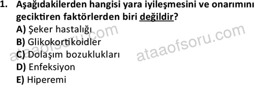 ata laborantvet 1963 1