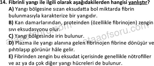 ata laborantvet 1963 14