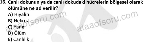 ata laborantvet 1963 16