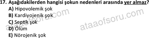 ata laborantvet 1963 17