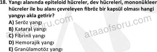 ata laborantvet 1963 18