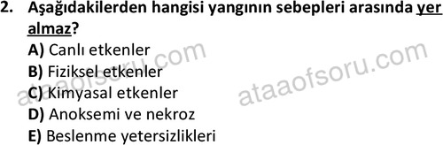 ata laborantvet 1963 2
