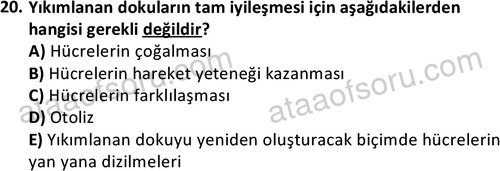 ata laborantvet 1963 20