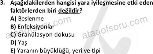 ata laborantvet 1963 3