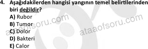 ata laborantvet 1963 4