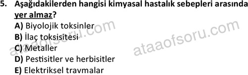 ata laborantvet 1963 5