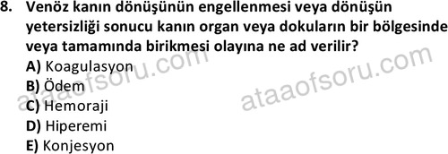ata laborantvet 1963 8