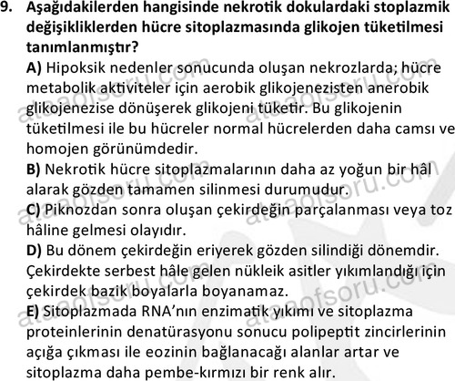 ata laborantvet 1963 9