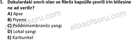 ata laborantvet 1963 1