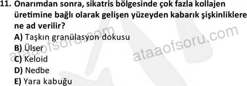 ata laborantvet 1963 11