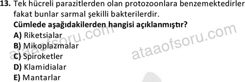 ata laborantvet 1963 13