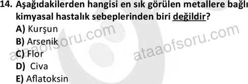 ata laborantvet 1963 14
