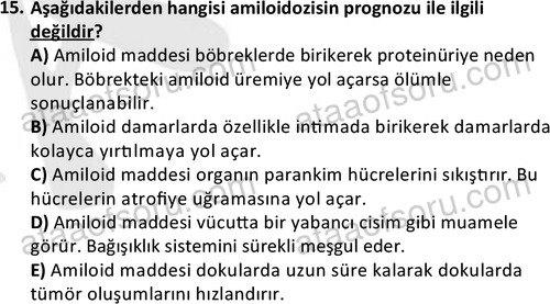 ata laborantvet 1963 15