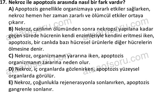 ata laborantvet 1963 17