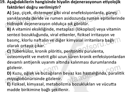 ata laborantvet 1963 19