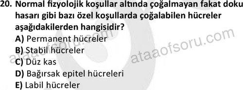 ata laborantvet 1963 20