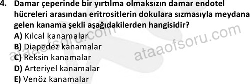 ata laborantvet 1963 4