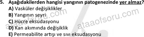 ata laborantvet 1963 5