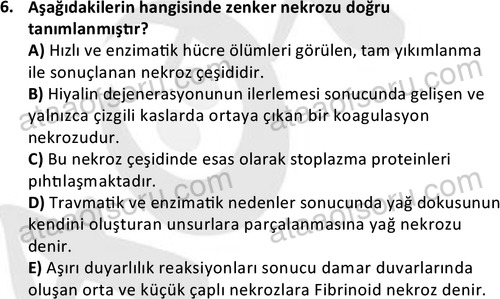 ata laborantvet 1963 6