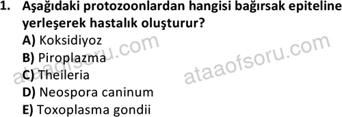 ata laborantvet 1963 1