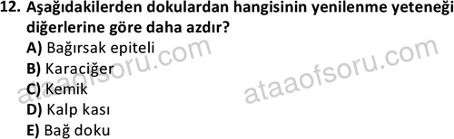 ata laborantvet 1963 12