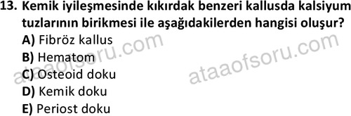 ata laborantvet 1963 13