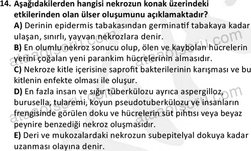 ata laborantvet 1963 14