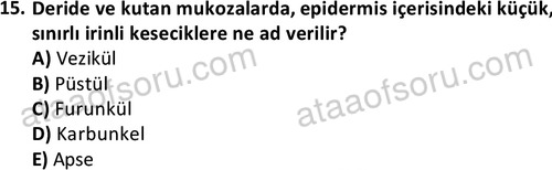 ata laborantvet 1963 15