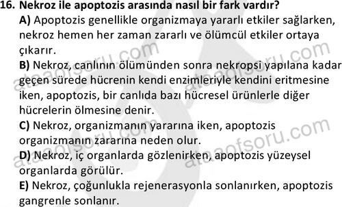 ata laborantvet 1963 16