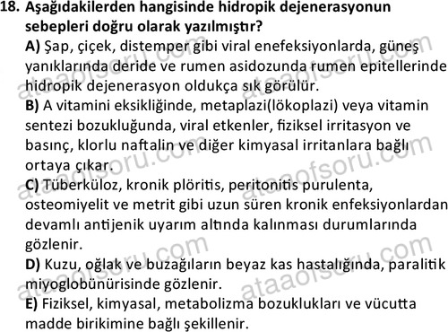 ata laborantvet 1963 18