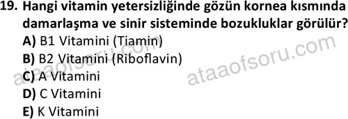 ata laborantvet 1963 19