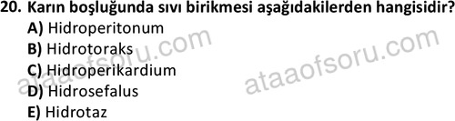 ata laborantvet 1963 20