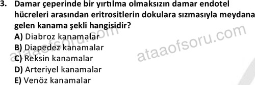 ata laborantvet 1963 3