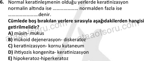 ata laborantvet 1963 6