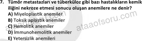 ata laborantvet 1963 7