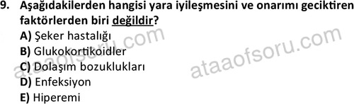 ata laborantvet 1963 9
