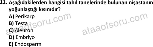 ata laborantvet 1962 11