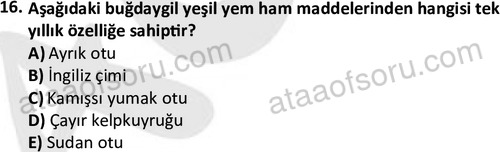 ata laborantvet 1962 16