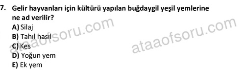 ata laborantvet 1962 7