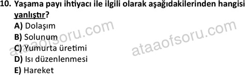 ata laborantvet 1962 10