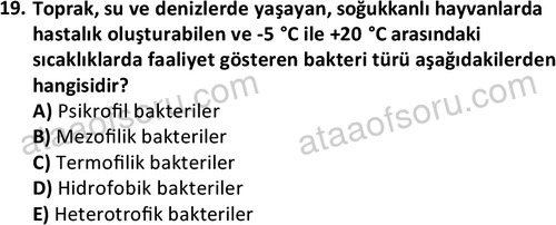 ata laborantvet 1962 19