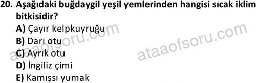 ata laborantvet 1962 20