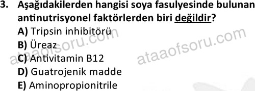 ata laborantvet 1962 3