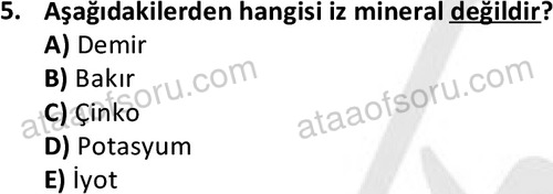 ata laborantvet 1962 5