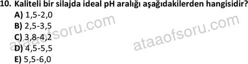 ata laborantvet 1962 10